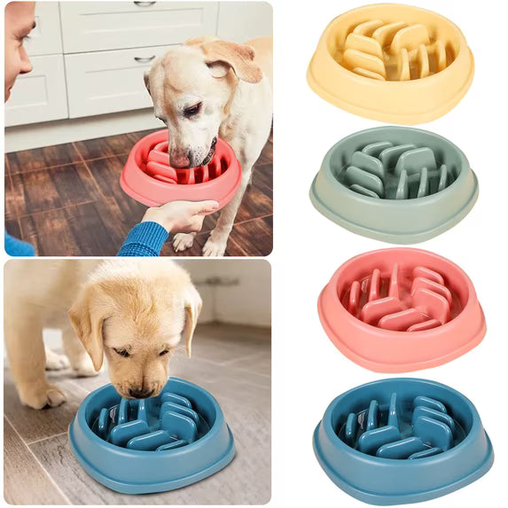 Mishmishe Slow Feeder Bowl for Dogs & Cats: Anti-Gulp Maze Design