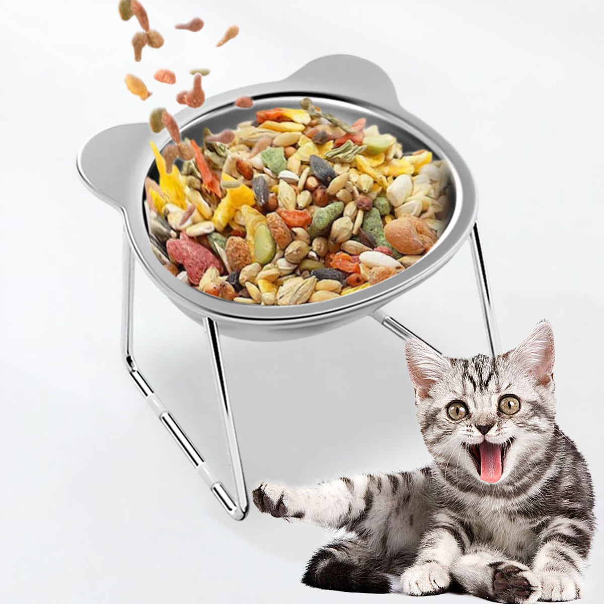 Mishmishe Elevated Stainless Steel Pet Bowls with Stand for Dogs & Cats