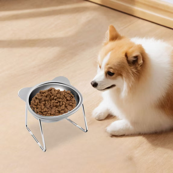 Mishmishe Elevated Stainless Steel Pet Bowls with Stand for Dogs & Cats