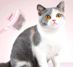 Mishmishe Self-Cleaning Slicker Brush for Cats: Gentle Grooming & Shedding Brush