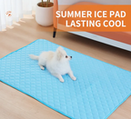 Mishmishe Pet Cooling Mat: Gel Pressure-Activated Pad for Dogs & Cats.