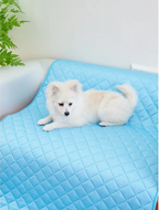 Mishmishe Pet Cooling Mat: Gel Pressure-Activated Pad for Dogs & Cats.