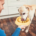 Mishmishe Slow Feeder Bowl for Dogs & Cats: Anti-Gulp Maze Design