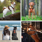 Mishmishe No-Pull Dog Harness: Adjustable Reflective Vest Harness